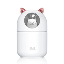 Load image into Gallery viewer, Studio Ghibli Totoro Style Air Humidifier